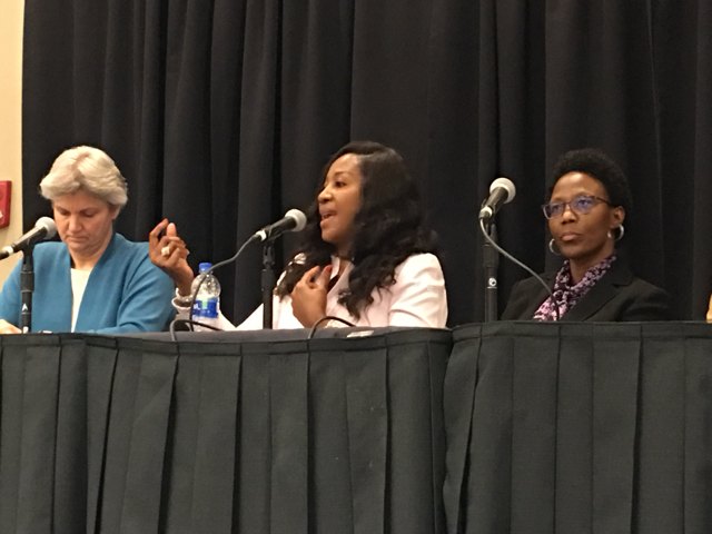 Speaking during a professional panel discussion